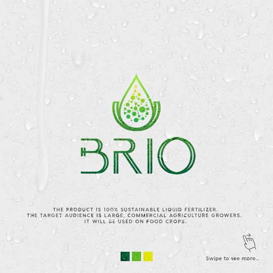 Дизайн логотипа BRIO